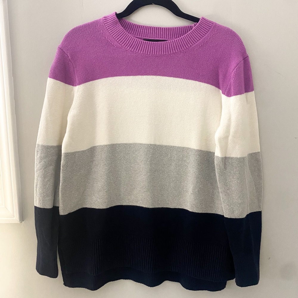 Banana Republic navy purple colorblock striped crew neck sweater